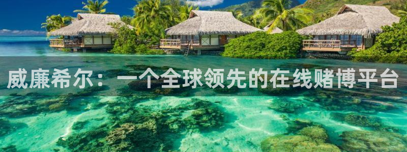 尊龙时凯人生就是搏官网