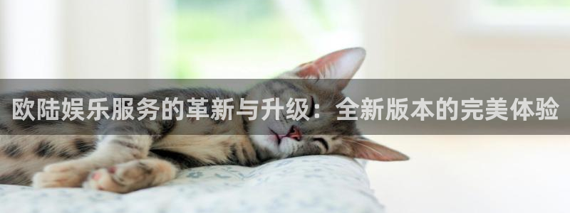人生就是搏尊龙