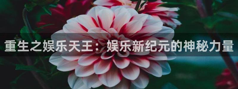 尊龙凯时人生就是搏集团