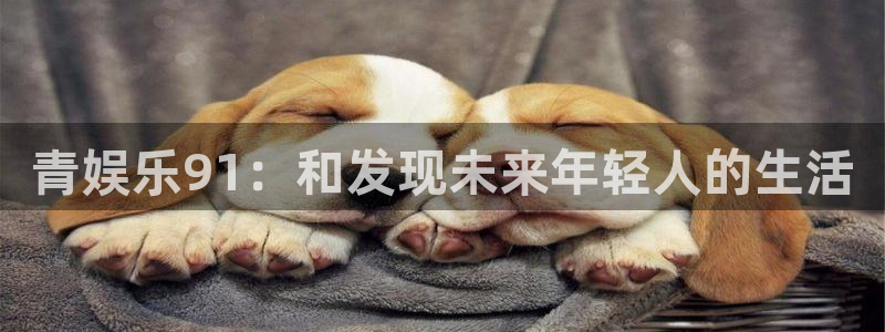 尊龙凯时人生就是搏