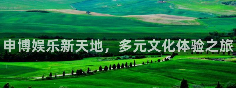 尊龙凯时人生就是搏集团