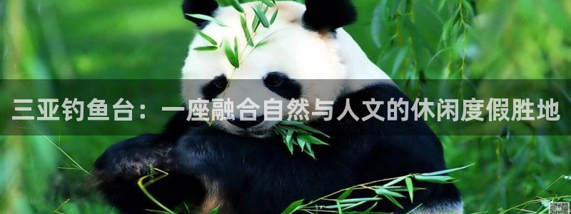 尊龙凯时人生就是搏z6