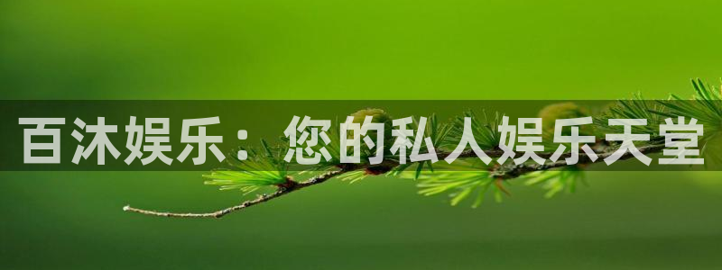 尊龙时凯人生就是搏官网