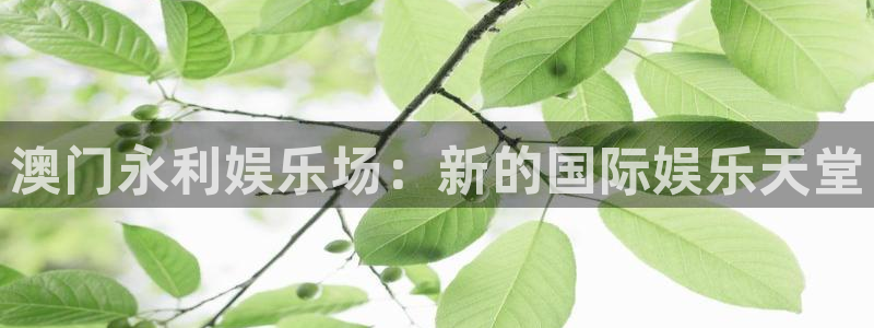 人生就是搏尊龙：澳门永利娱乐场：新的国际娱乐天堂