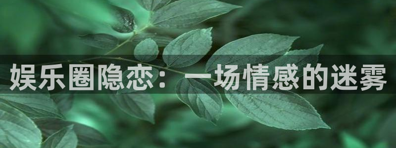 人生就是搏官网：娱乐圈隐恋：一场情感的迷雾