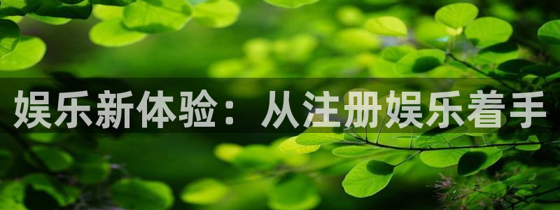 尊龙时凯人生就是搏：娱乐新体验：从注册娱乐着手