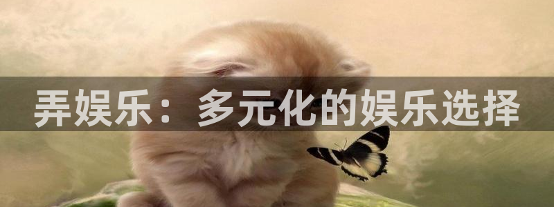 尊龙时凯人生就是搏：弄娱乐：多元化的娱乐选择