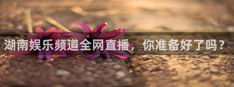 pa 尊龙凯时 - 人生就是搏!：湖南娱乐频道全网直播，你准备好了吗？