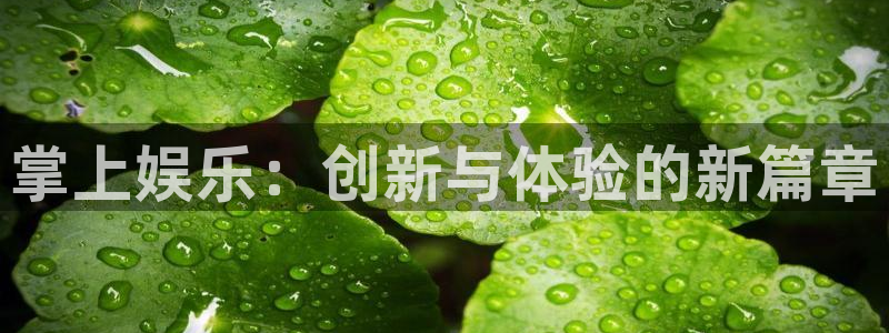 尊龙凯时人生就是搏集团：掌上娱乐：创新与体验的新篇章