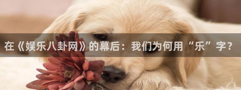 尊龙凯时人生就是搏z6com：在《娱乐八卦网》的幕后：我们为何用“乐”字？