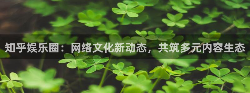 人生就是搏手机版：知乎娱乐圈：网络文化新动态，共筑多元内容生态