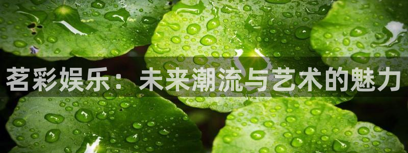 尊龙人生就是搏：茗彩娱乐：未来潮流与艺术的魅力