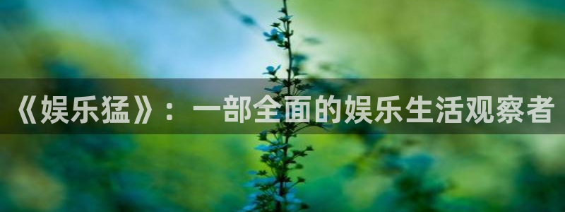 pa 尊龙凯时 - 人生就是搏!：《娱乐猛》：一部全面的娱乐生活观察者
