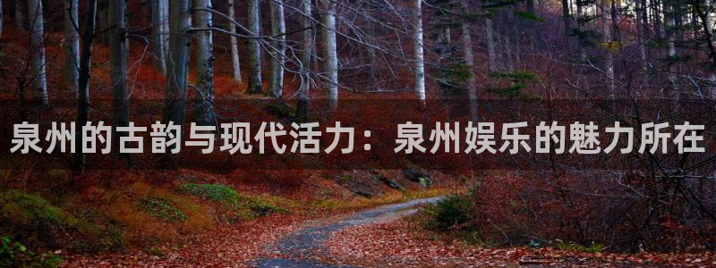 尊龙·人生就是搏：泉州的古韵与现代活力：泉州娱乐的魅力所在