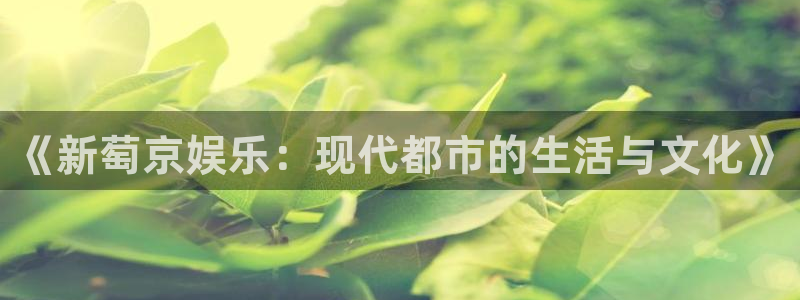 尊龙凯时人生就是搏z6：《新萄京娱乐：现代都市的生活与文化》