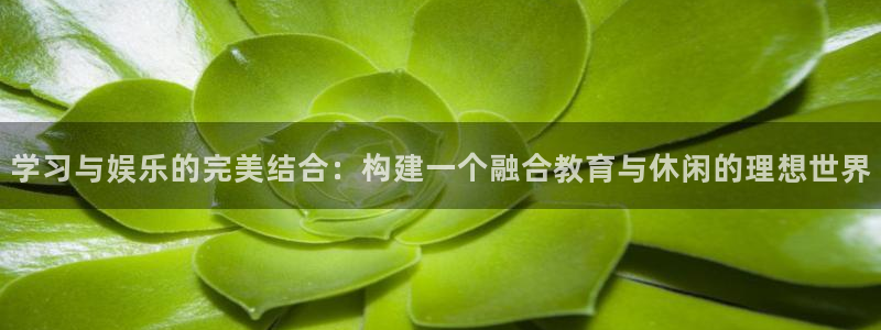 尊龙人生就是搏z6：学习与娱乐的完美结合：构建一个融合教育与休闲的理想世界