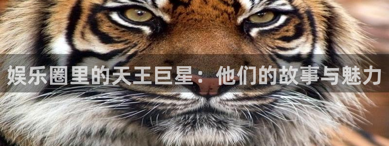 尊龙人生就是搏z6：娱乐圈里的天王巨星：他们的故事与魅力