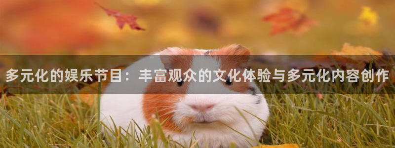人生就是搏：多元化的娱乐节目：丰富观众的文化体验与多元化内容创作