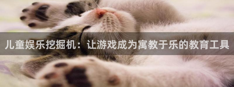 凯龙尊时一人生就是搏：儿童娱乐挖掘机：让游戏成为寓教于乐的教育工具