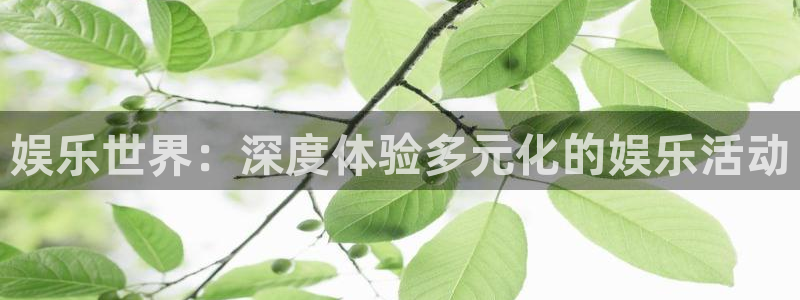 人生就是搏官网：娱乐世界：深度体验多元化的娱乐活动