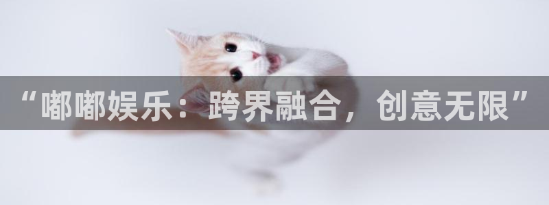 尊龙凯时人生就是搏免费观看：“嘟嘟娱乐：跨界融合，创意无限”
